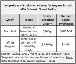 IE_Production_Systems_for_Enzymes